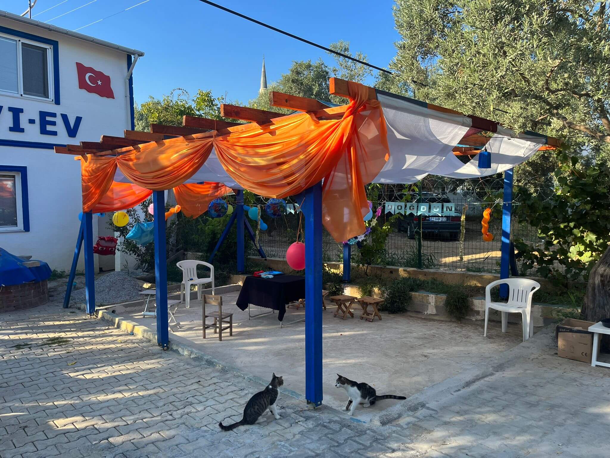 Fıstıklı Mavi Ev Pansiyon Tanıtım